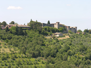 ANTICA FATTORIA E RESIDENZA DEI CONTI FAINA 