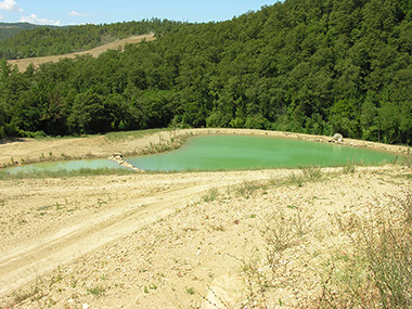 AMMODERNAMENTO AZIENDA AGRICOLA