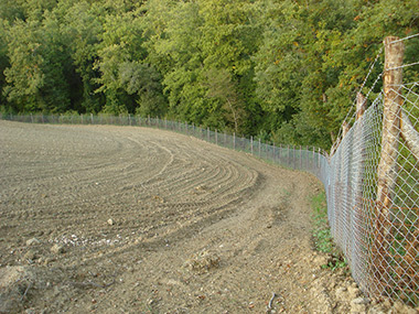 AMMODERNAMENTO AZIENDA AGRICOLA