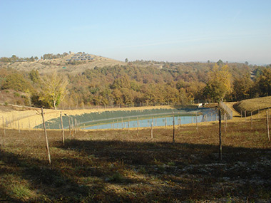 AMMODERNAMENTO AZIENDA AGRICOLA